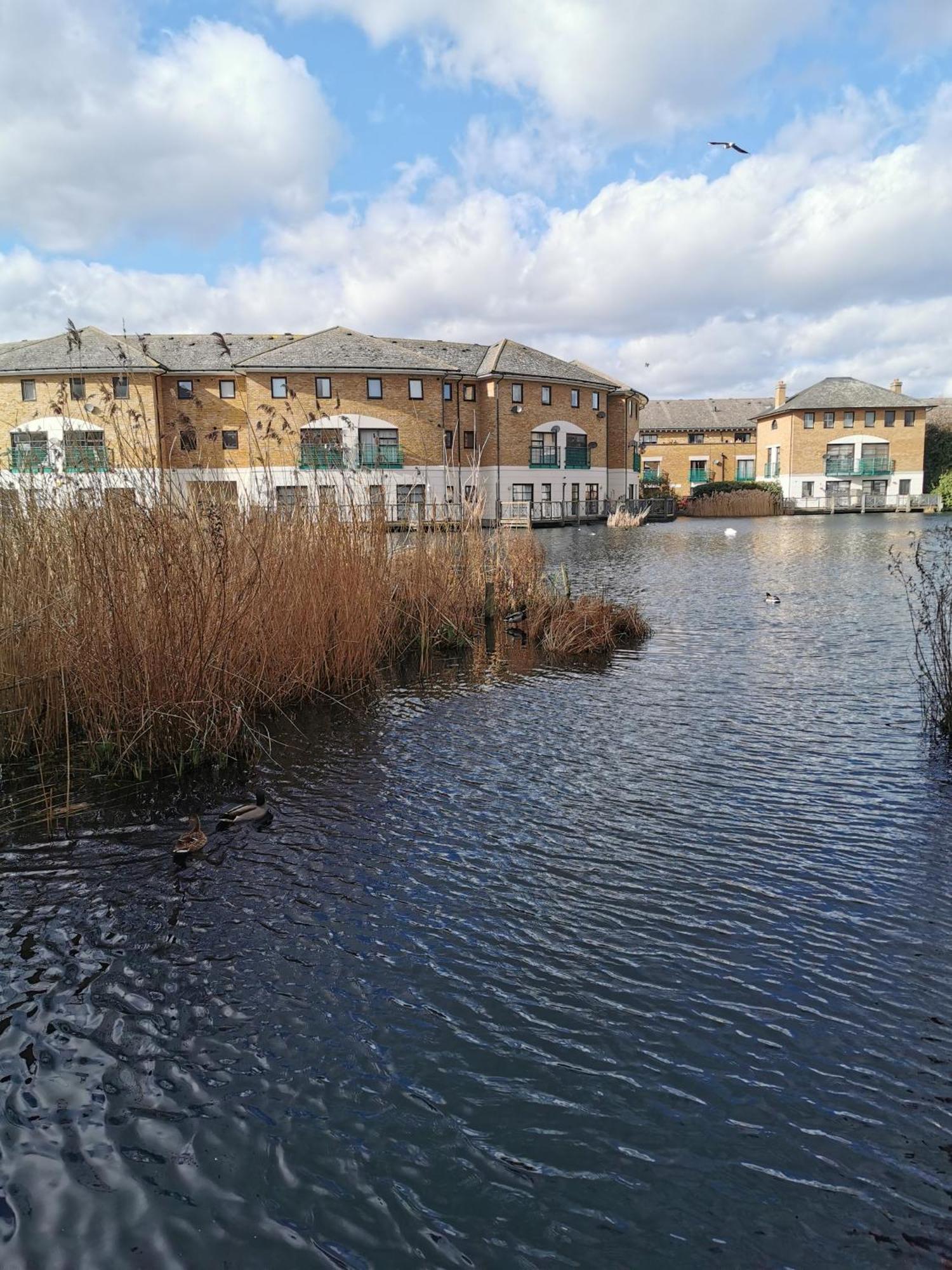 Riverside 1Br With Easy Transport 20Min To City Centre Londres Exterior foto
